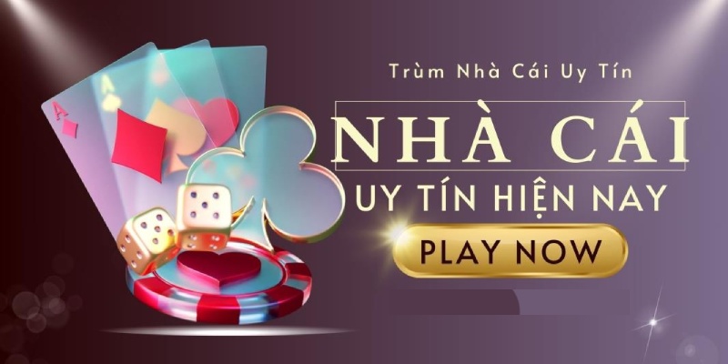 Thương hiệu được nhiều chuyên gia đánh giá cao