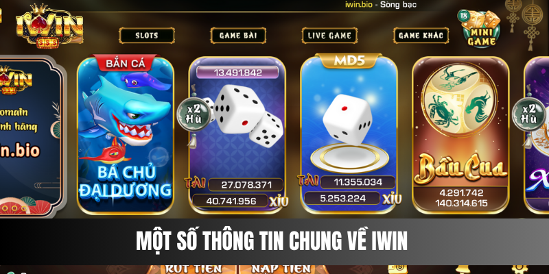 Một số thông tin chung về IWIN 